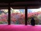 京都 高山寺の紅葉