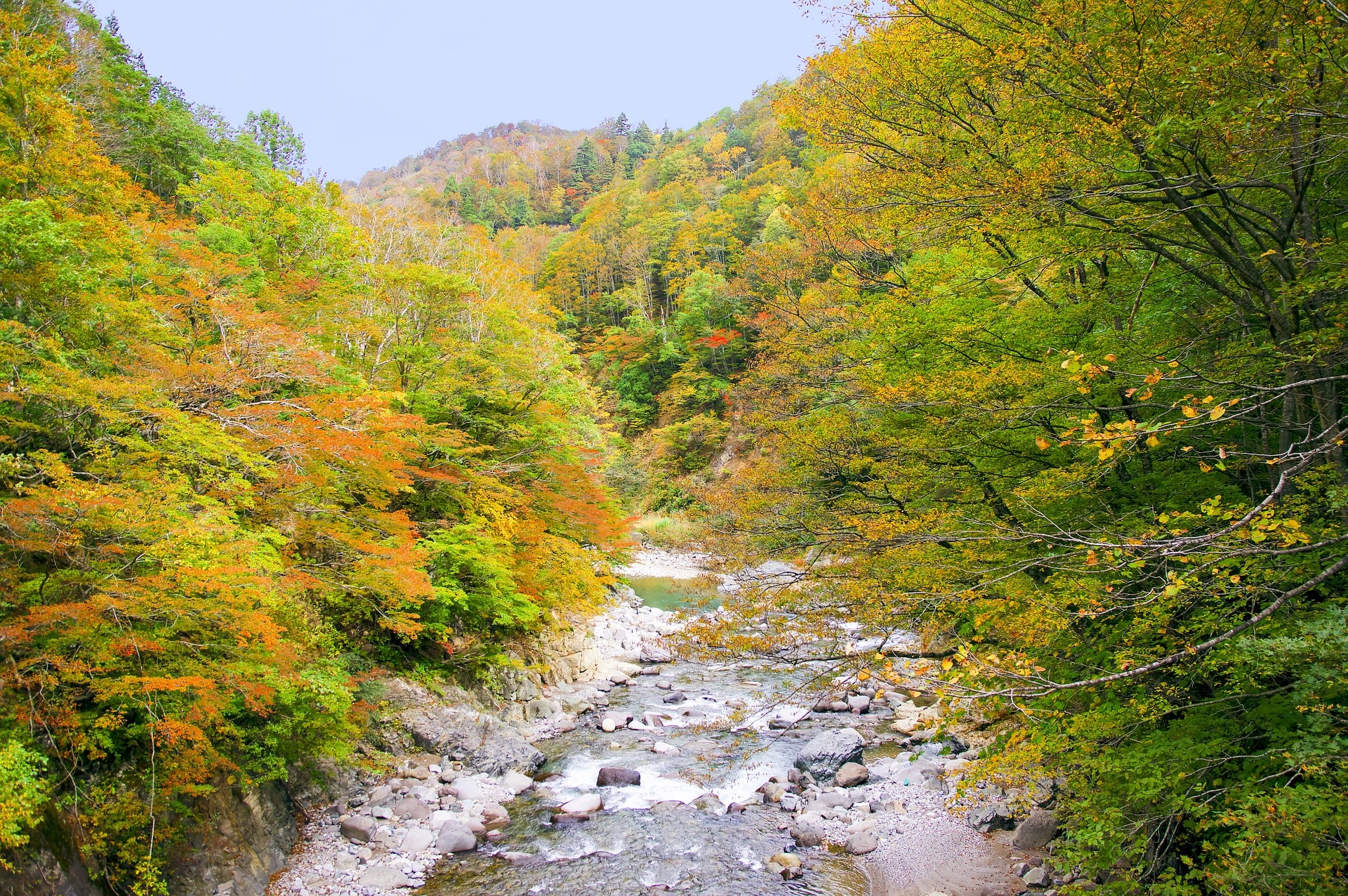 新潟県の紅葉と川